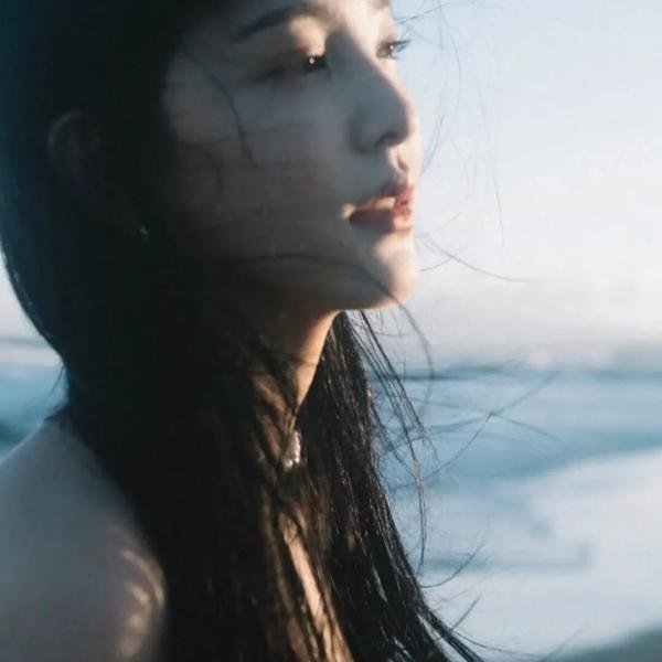 西方注视下