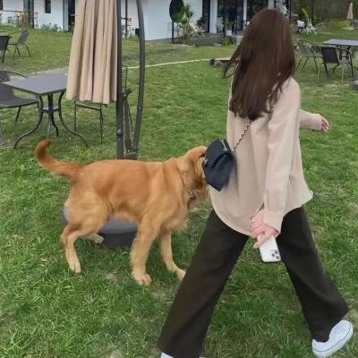 谍网妖姬